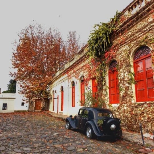 Carnaval Winetur Uruguai - Foto 11