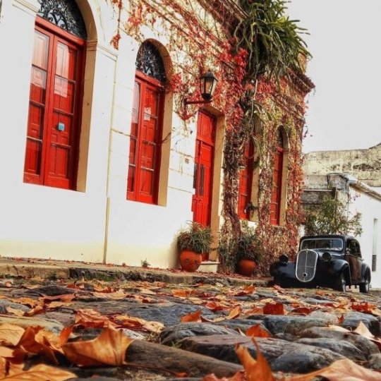 Carnaval Winetur Uruguai - Foto 10