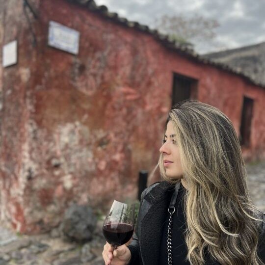 Carnaval Winetur Uruguai - Foto 2