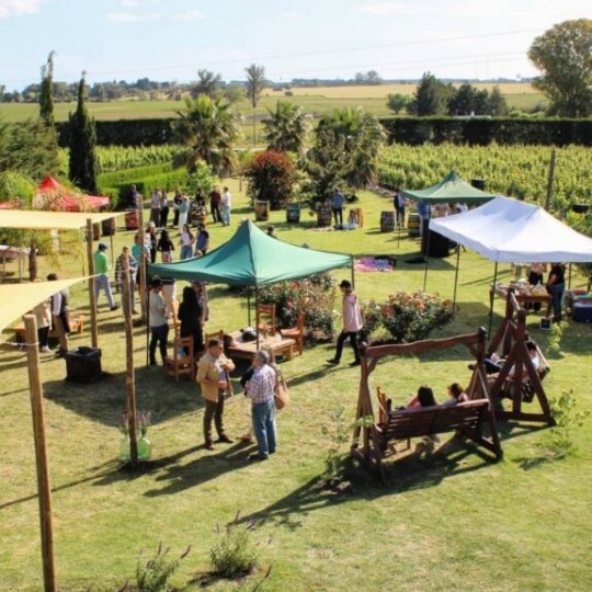 Carnaval Winetur Uruguai - Foto 12