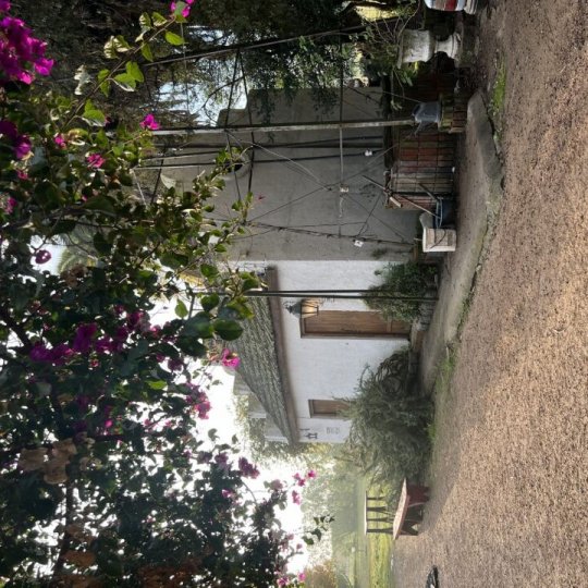 Carnaval Winetur Uruguai - Foto 3