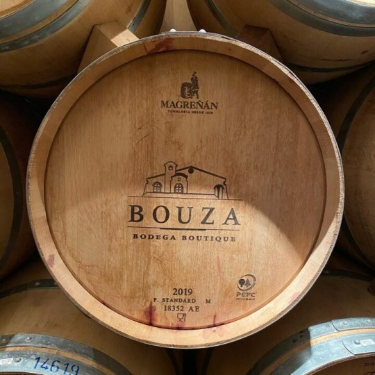 Carnaval Winetur Uruguai - Foto 8