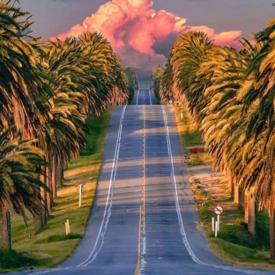 Carnaval Winetur Uruguai - Foto 18